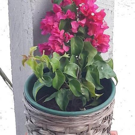 Home Lucic Lozovac Buitenkant foto