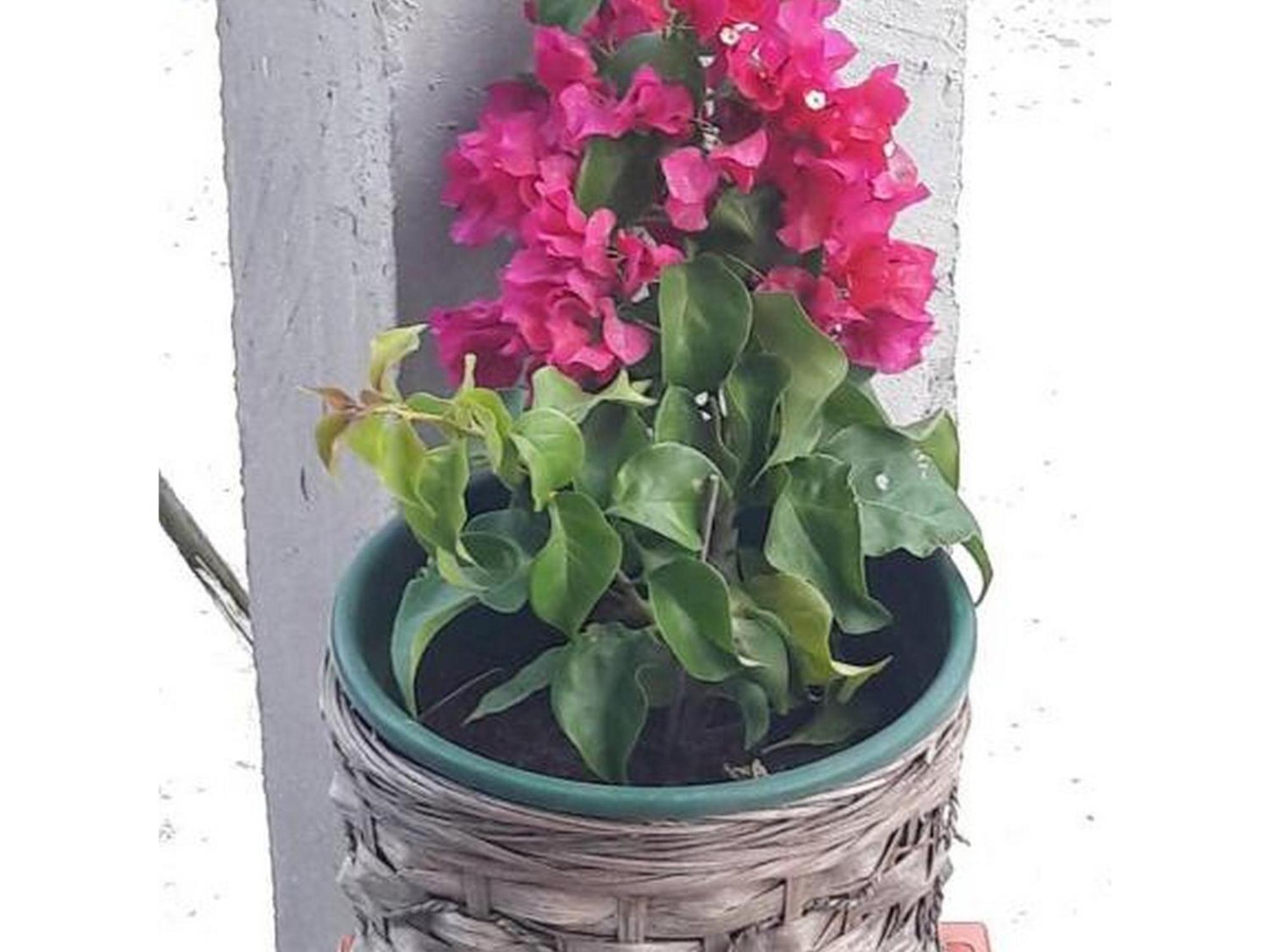 Home Lucic Lozovac Buitenkant foto