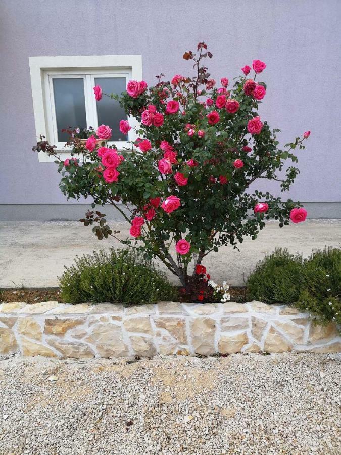 Home Lucic Lozovac Buitenkant foto